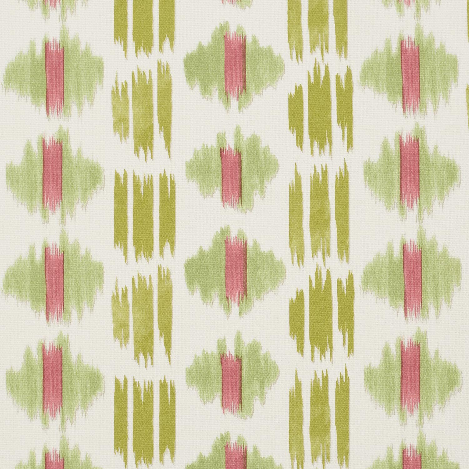 BANDHANI CARMINE  MD 14.000