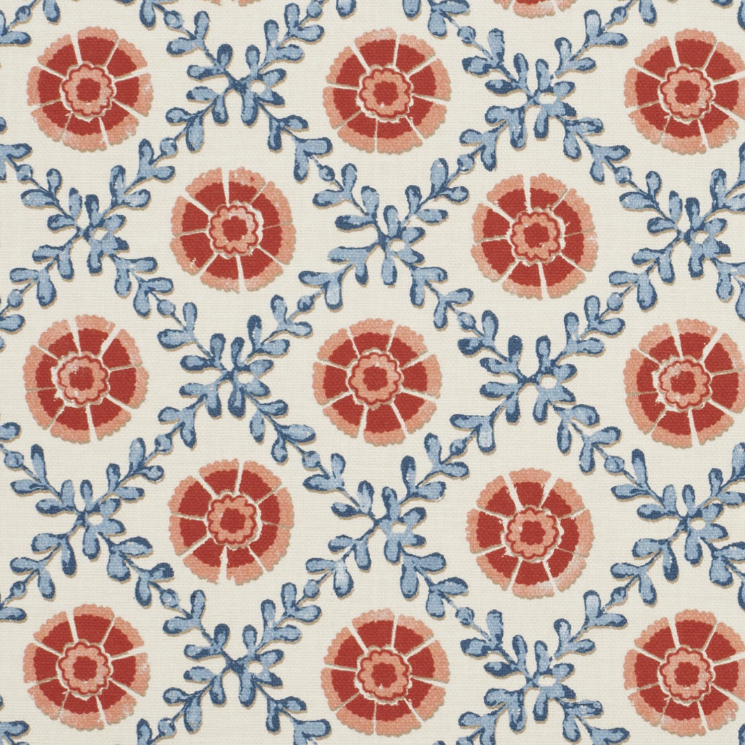 PATOLA RUBY  MD 14.000