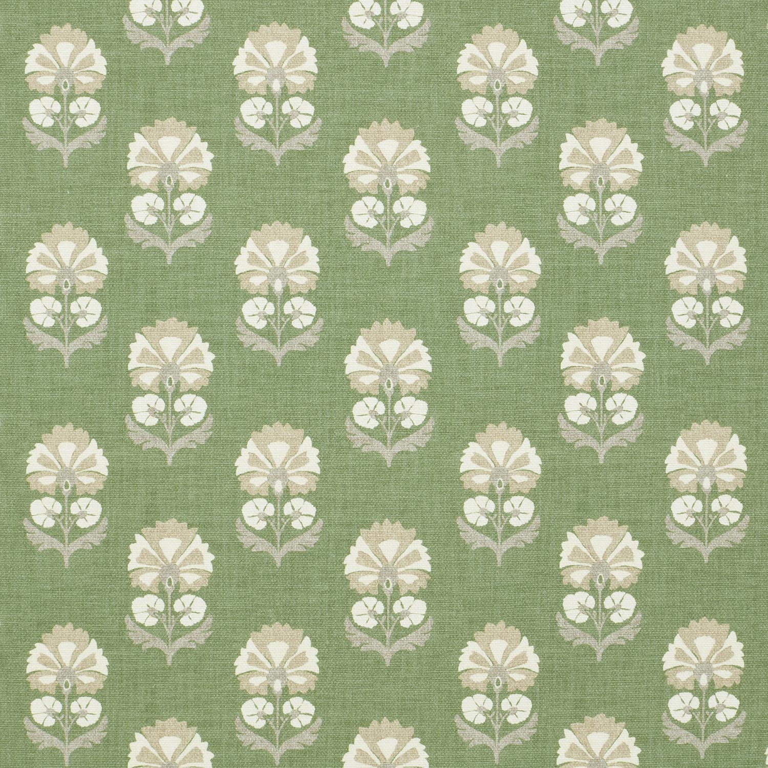 SHANI JUNIPER  MD 14.000