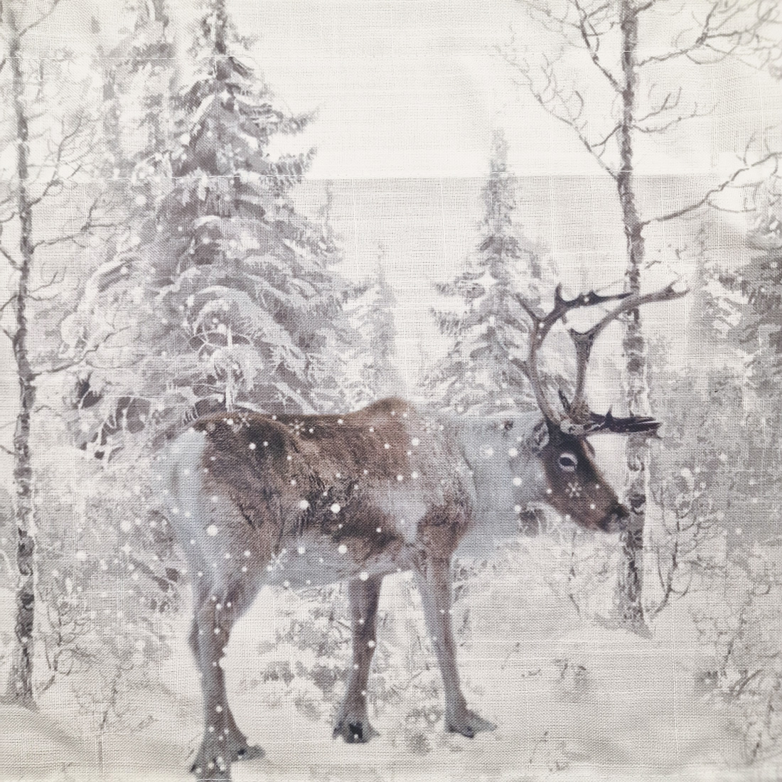 SNOW FORREST