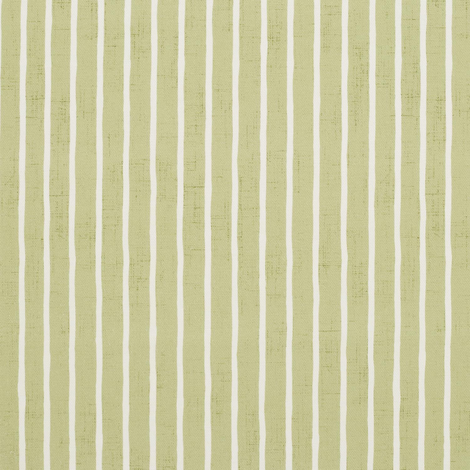 PAMINA WILLOW  MD 14.000