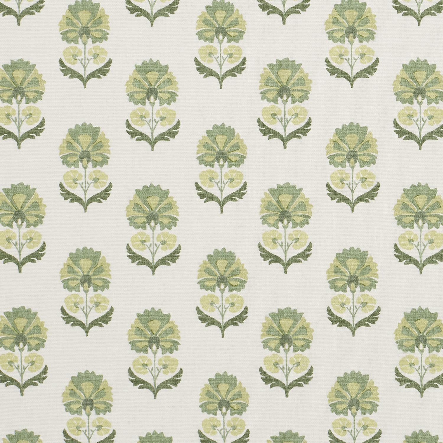 SHANI EUCALYPTUS  MD 14.000