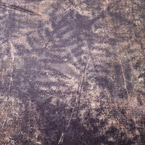 CINTELLA VELOUR CINTELLA VELOUR