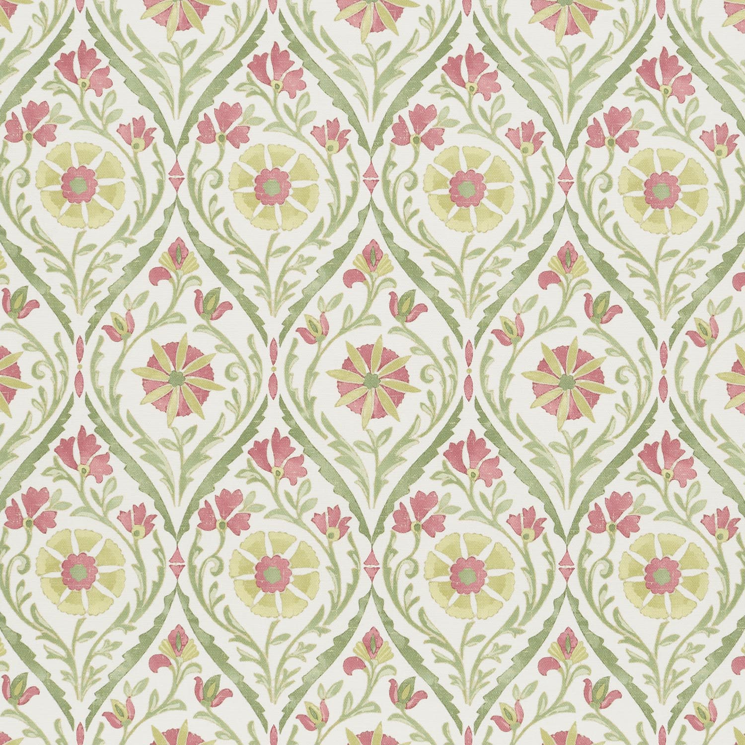 SUHANI CARMINE  MD 14.000