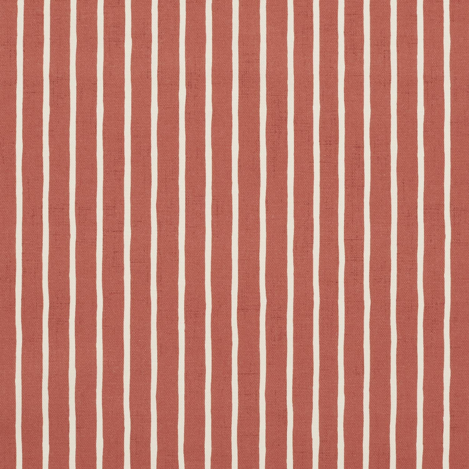 PAMINA RUBY  MD 14.000