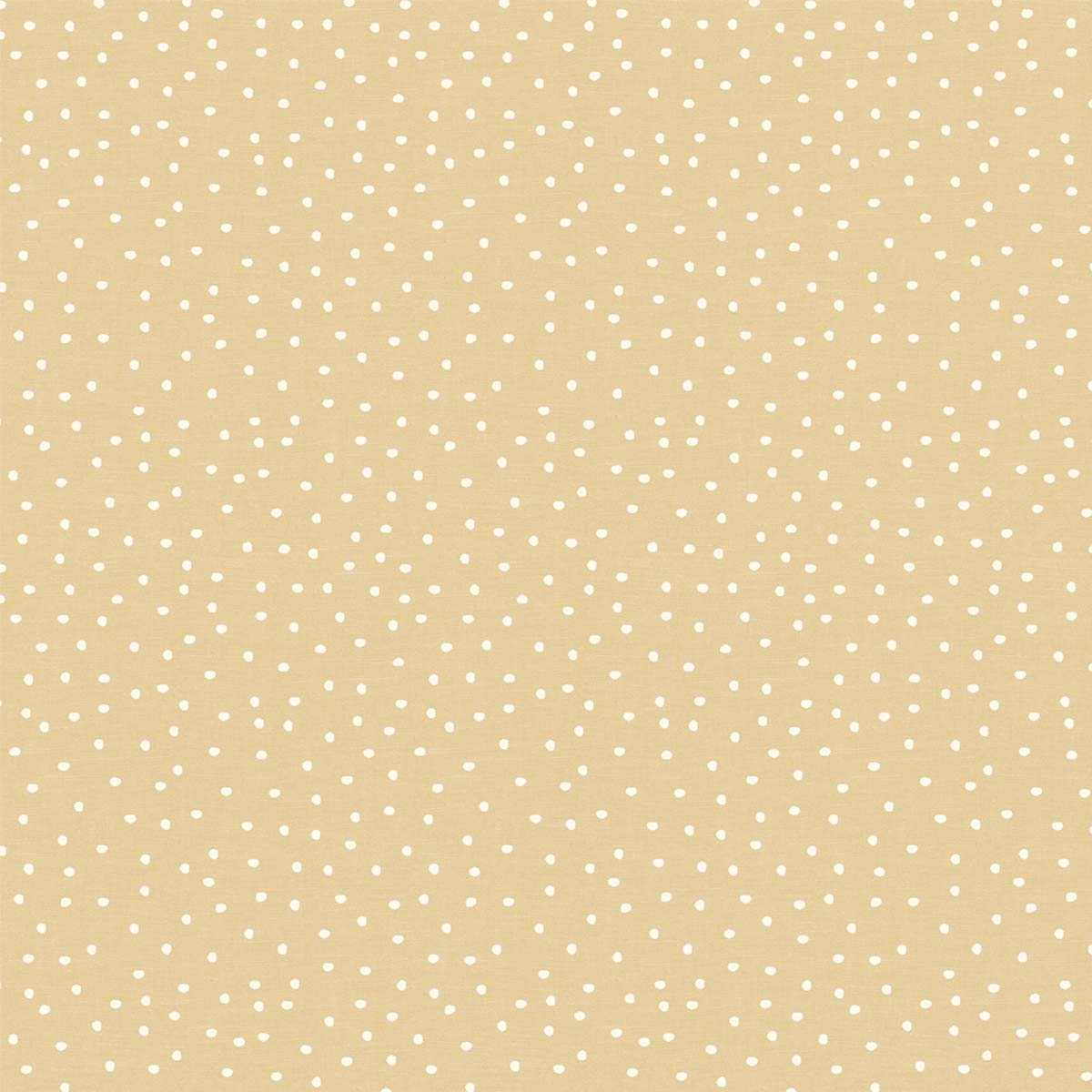 SPOTTY OCHRE