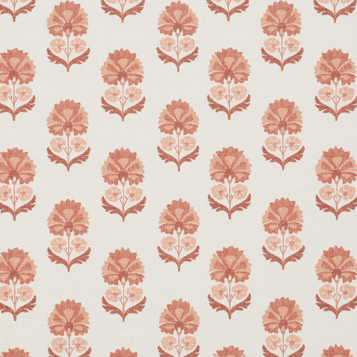 SHANI CORAL  MD 14.000